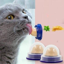 Load image into Gallery viewer, Yummy Catnip Wall Candy
