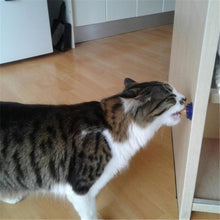 Load image into Gallery viewer, Yummy Catnip Wall Candy
