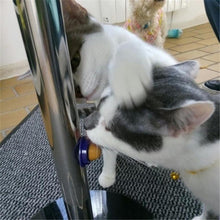 Load image into Gallery viewer, Yummy Catnip Wall Candy
