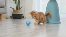 Load and play video in Gallery viewer, Magic Cat Teaser Ball
