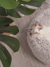 Load and play video in Gallery viewer, Soufflé Anxiety Relief Cat Bed - 2021 UPGRADED WITH DETACHABLE COVER!

